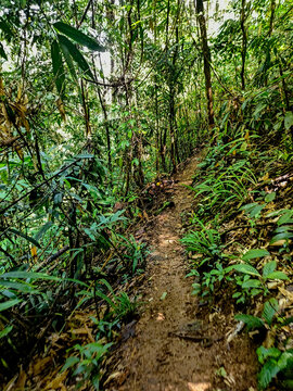 Tak Province, Thailand, Octobet 13, 2025 : View during the hike in Lerkwador Mountain or Mountain of Faith view at Mae Wa Luang, Tha Song Yang District, Tak,Thailand
