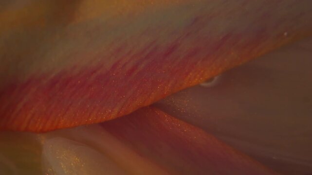 Vertical video. Steam flower. Paint wave. Defocused yellow orange color plant tulip nature vapor glow water floating on abstract creative background.