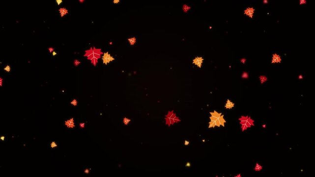 Autumn leaves falling on black background, animated motion graphics, seasonal theme