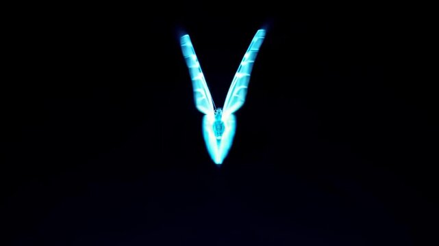 Luminous Neon Butterfly with Glowing Light