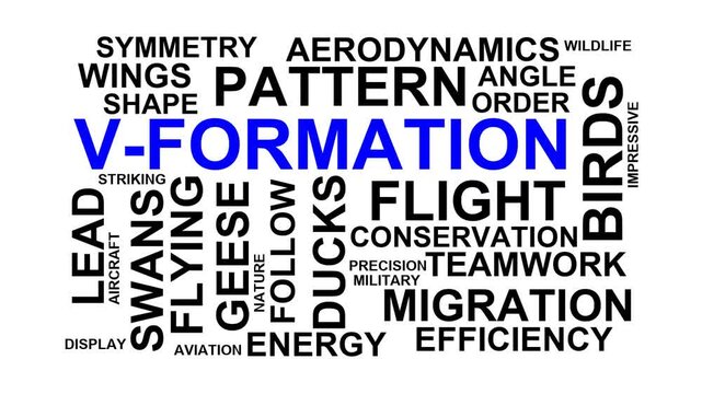 V-Formation Word Cloud