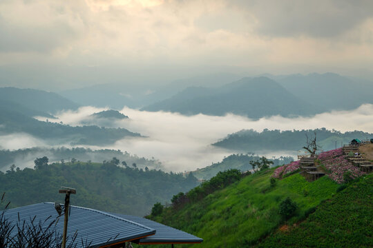 Scenic view of sea of fog rolling over mountain valley in the morning at Mon Mork Tawan, Phop Phra, Tak, Thailand. Beautiful misty landscape with resort rooftop and flower garden viewpoint.