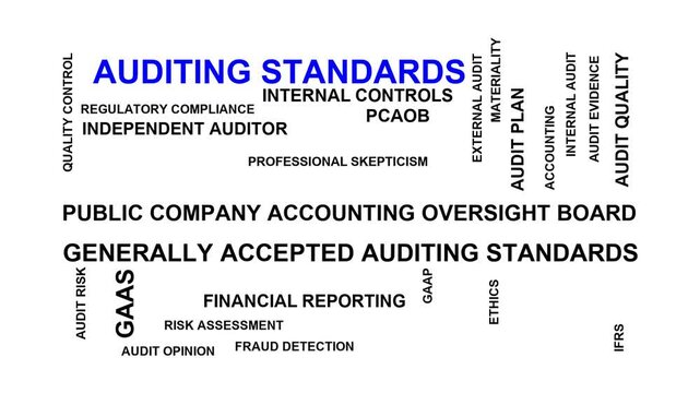 Auditing Standards Word Cloud