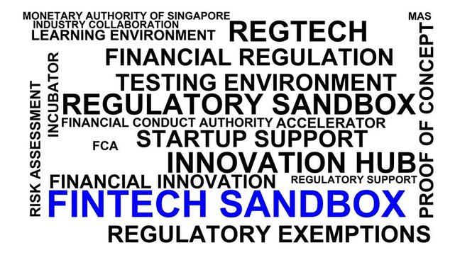 Fintech Sandbox Word Cloud
