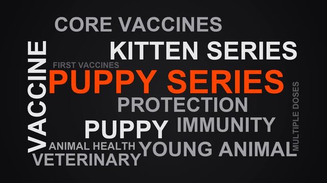Puppy Series Word Cloud