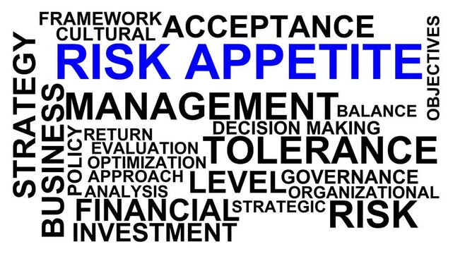 Risk Appetite Word Cloud
