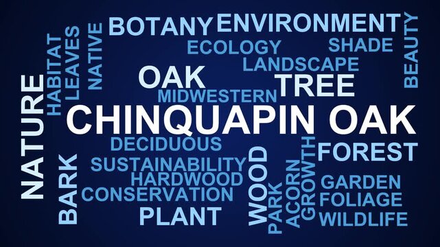 Chinquapin Oak Word Cloud