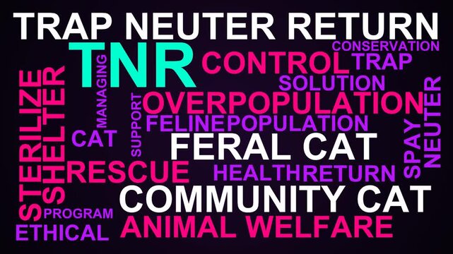 Tnr Word Cloud