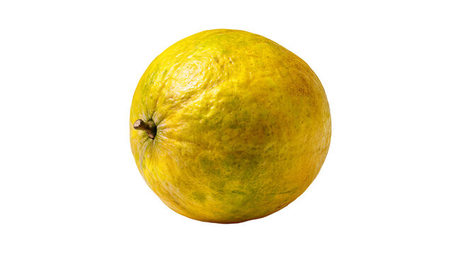 Fresh whole bael fruit with realistic texture and clean edges, isolated PNG on transparent background