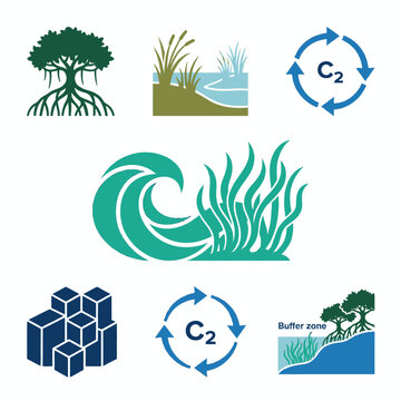 Environment Carbon Cycle Icons Wetland Tree Buffer Zone Sequestration