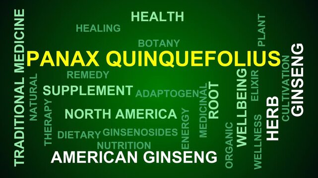 Panax Quinquefolius Word Cloud