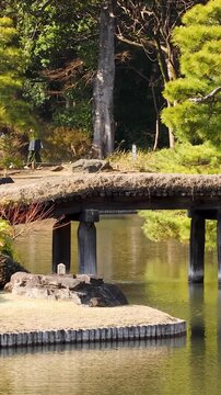 Traditional Japanese Garden Bridge Over Pond in Tokyo