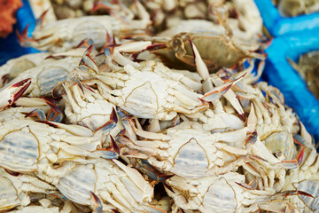 Fresh raw blue crabs displayed for sale at traditional Asian seafood market © mnimage
