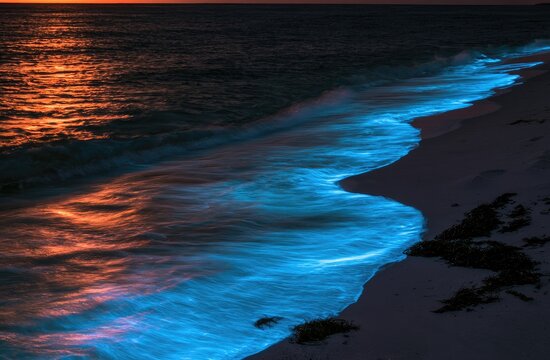 Bioluminescent waves crash on a sandy beach under an orange sky