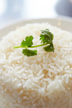 white steamed rice on a plate