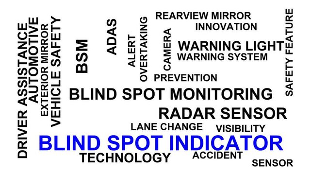 Blind Spot Indicator Word Cloud