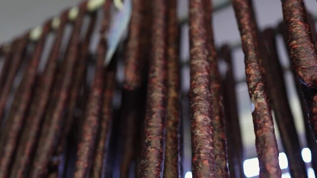 Low angle selective focus shot pans across drying Droewors sausage