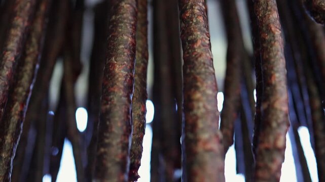 Closeup rising pedestal shot of savory Droewors sausage drying on rack