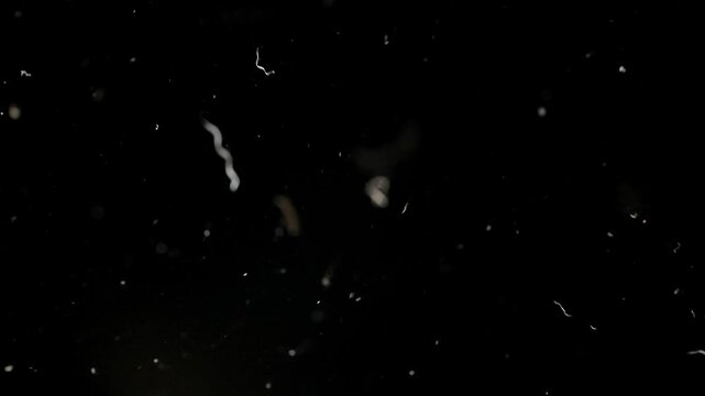 Dust particles and pale streaks drift across a black background