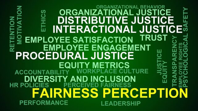 Fairness Perception Word Cloud