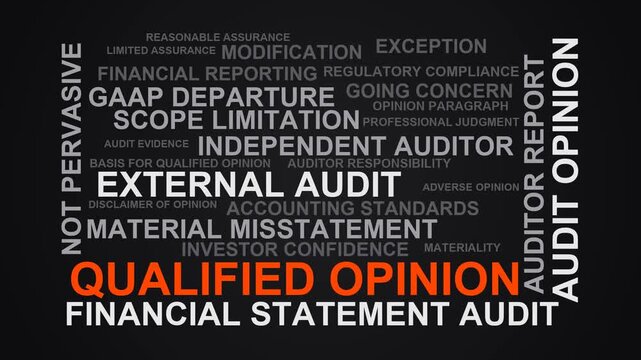 Qualified Opinion Word Cloud