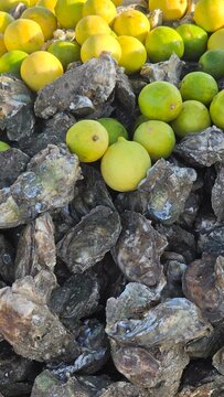 Photo of fresh oysters and limes ready to eat at the beach in M&eacute;xico 