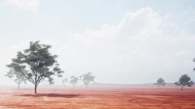 A dry landscape stretches across the view. Sparse trees stand on the reddish soil. Clouds fill the sky, creating a simple scene. The area appears remote and open.