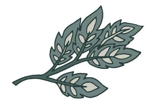Decorative Botanical Oak Style Leaf Art