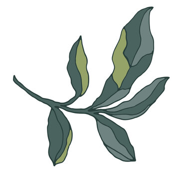 Abstract Twisted Green Plant Foliage Element