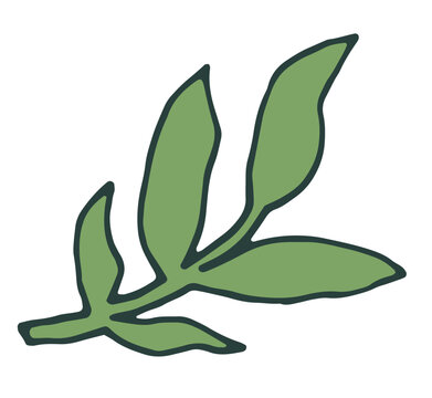Minimalist Green Foliage Plant Art