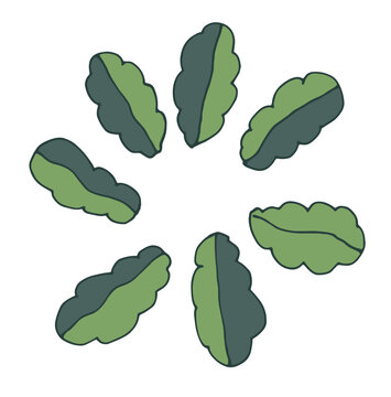 Round Symmetrical Oak Plant Element