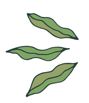 Abstract Floating Botanical Pods Design