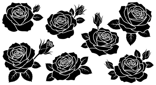 Collection of stylized rose flower vector illustrations featuring various petal shapes and leaf details; set of botanical line art and silhouette icons on white background.
