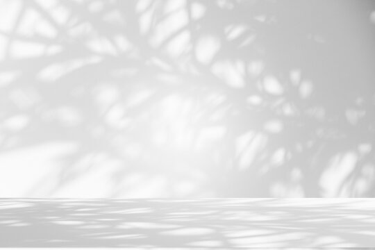 Wall interior background, studio and backdrops show products.with shadow from window color white and grey. background for text insertion and presentation product	
