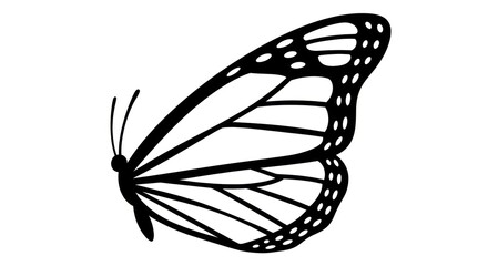 Black butterfly silhouette with white background. © Glang