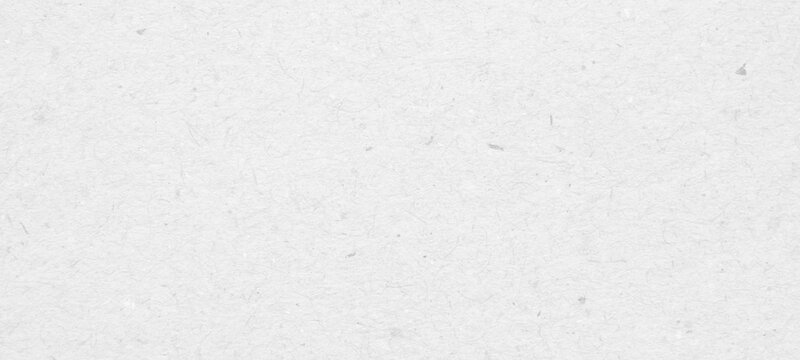 White recycle craft paper cardboard surface texture background