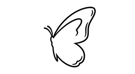Simple line drawing of butterfly wing. © Glang