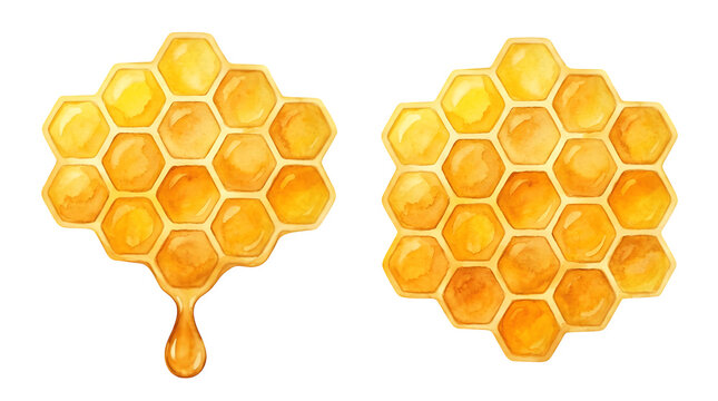 Watercolor honeycomb illustration featuring sweet yellow honeycombs and dripping drop