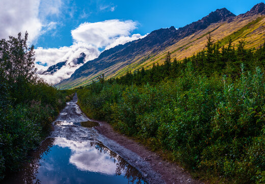 Glen Alps Hiking Trail of Chugach Mountains State Park in Anchorage Alaska: a vibrant summer landscape after rain