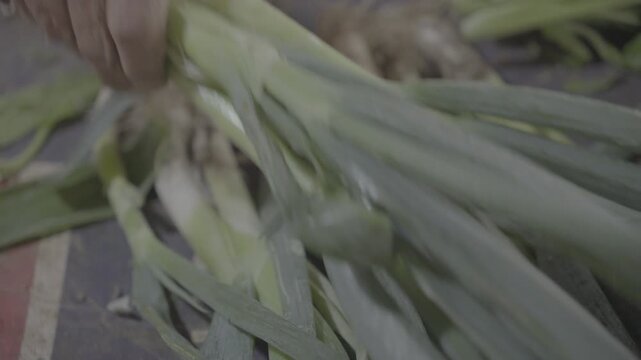 Fresh Green Onions for Sale at Traditional Market slog3 10 bit
