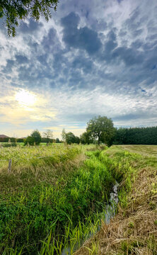 storm-lit meadow with winding rivulet and dramatic cloudscape. tussock grass, damp channels and distant tree line, sense