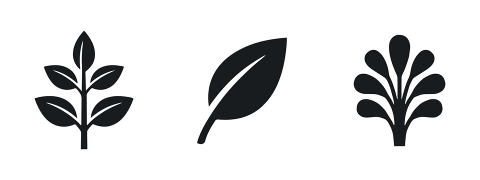 Black leaf silhouettes showcase varying botanical forms and arrangements