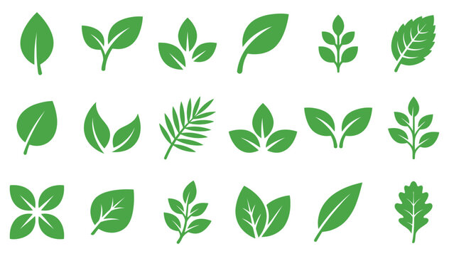 Green leaf icons collection featuring varied foliage shapes for natural design projects.