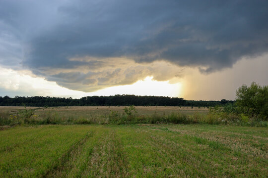 A dark storm cloud hangs over an open field and distant forest, revealing bright sunlight and a downpour. This dramatic panoramic landscape showcases the power of nature, strong light contrast, and su