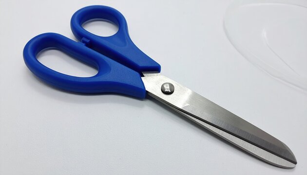 Professional blue-handled scissors with polished metal blades, office and craft supplies