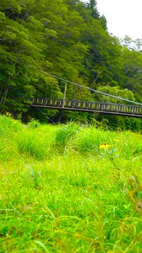 Kurenai Suspension Bridge and River Stream in Shiobara Onsen Resort, Nasushiobara, Tochigi, Japan