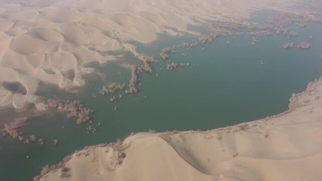 Aerial view of golden Populus euphratica forest and water in Huludao desert, Xinjiang, China