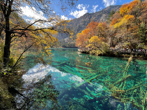 The breathtaking scenery of the crystal-clear turquoise lake with autumn colors at Jiuzhaigou National Park in Sichuan Province, China