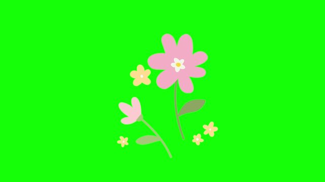 Cute Flower Plant Swaying Motion Graphic Animation Green Screen