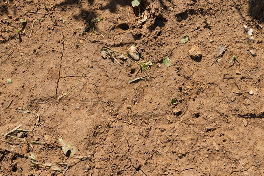 the background for graphic works consists of the surface soil of the soil on a mountain plateau in the spring period of the year